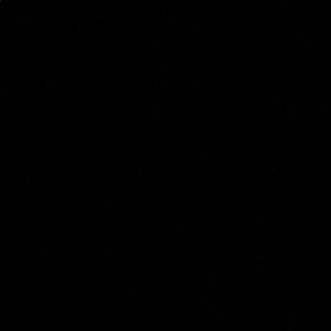 Meet your Posher, Fran